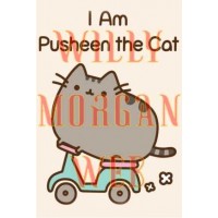 Pusheen The Cat Pusheen The Cat